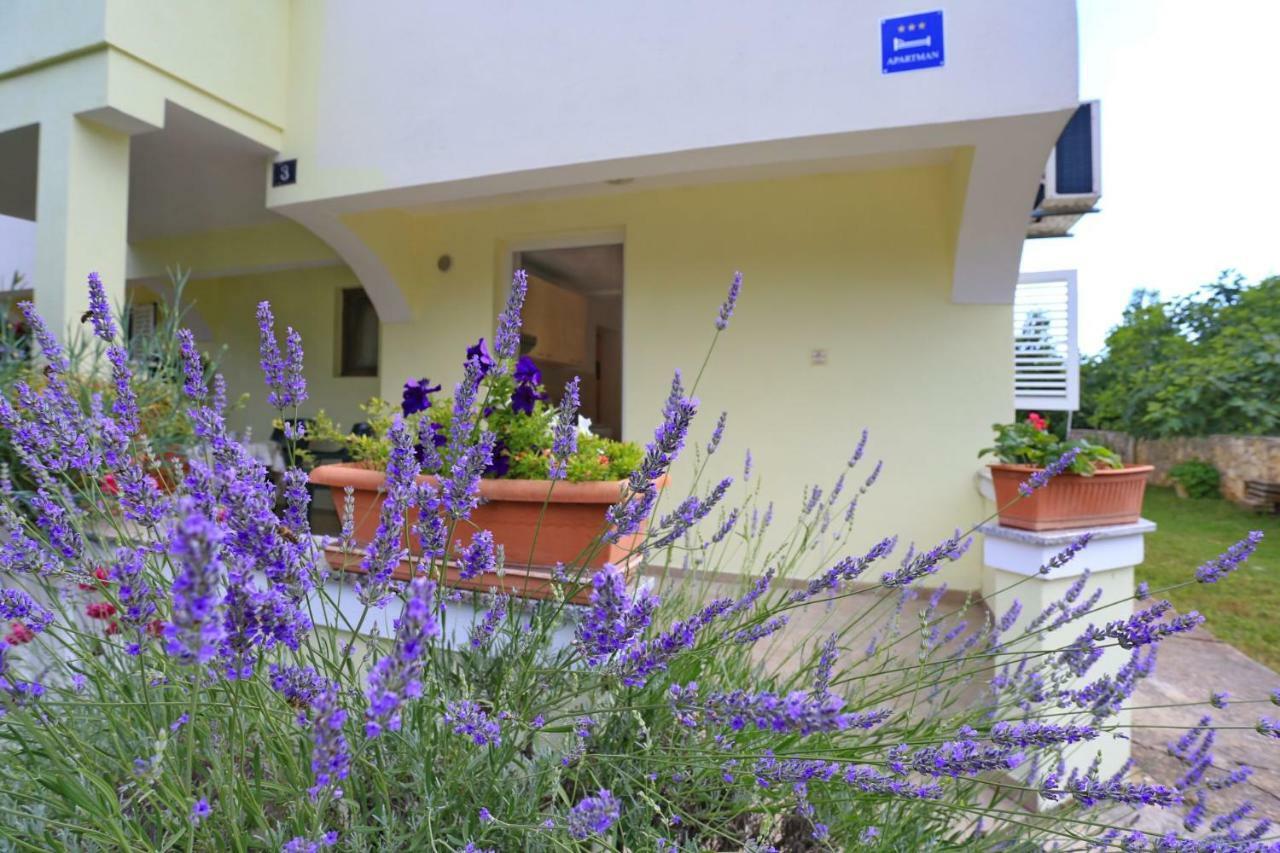 Apartments Romansa Zaton  Exterior foto